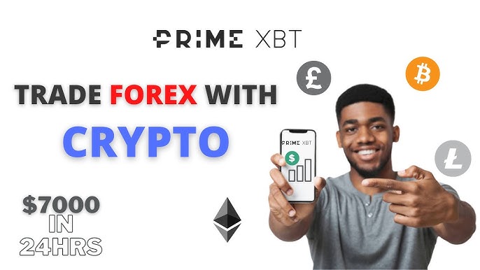Understanding the Features of PrimeXBT Wallet Understanding the Features of PrimeXBT Wallet