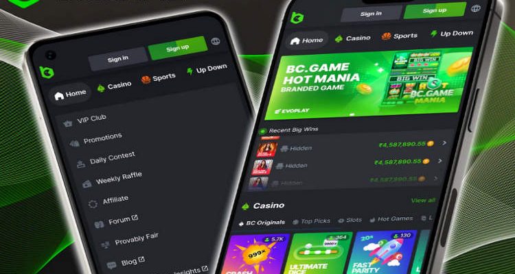 Explore the Thrills of Online Bookmaker BC.Game